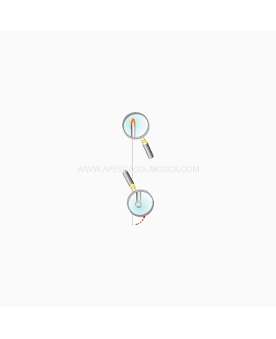 Stonfo aghi innesco bibi