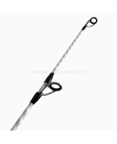 Canna Veret Andromeda