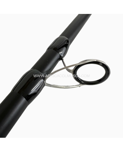 Canna Veret Andromeda