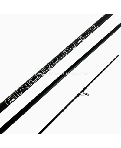 Canna Veret Andromeda