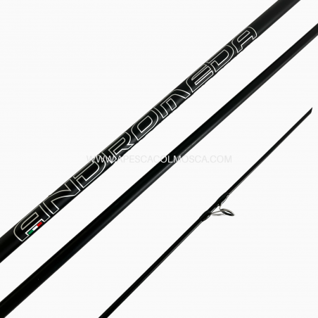 Canna Veret Andromeda