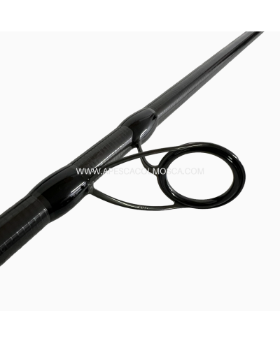 Canna Veret Amazzone