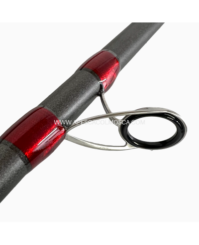 Canna Veret Nebula Beach Leadgering