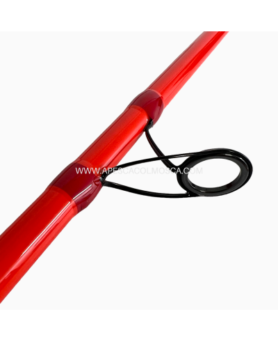 Canna Tubertini Axyra Surf