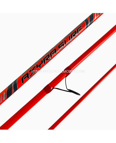 Canna Tubertini Axyra Surf