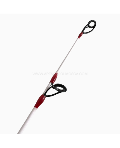 Canna Tubertini Axyra Surf