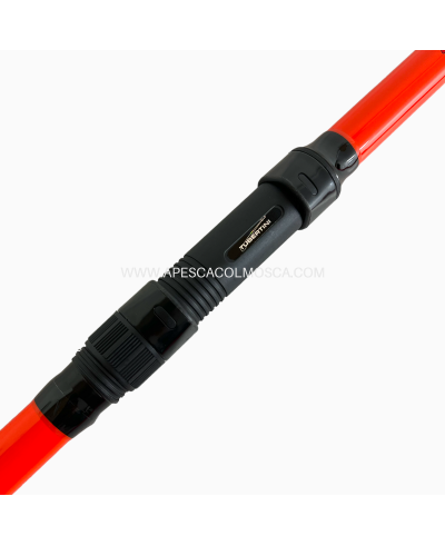 Canna Tubertini Axyra Surf