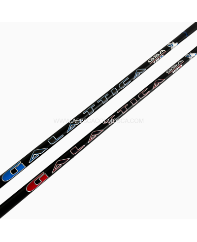 Canna Artico Galattica