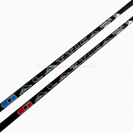 Canna Artico Galattica