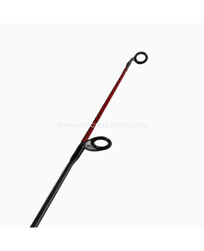 Canna Artico Galattica