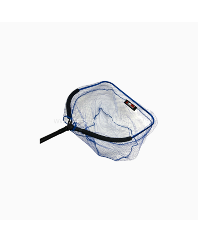 Testa guadino Milo Superba