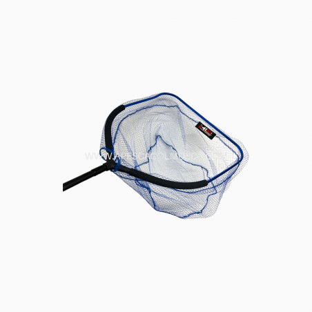 Testa guadino Milo Superba