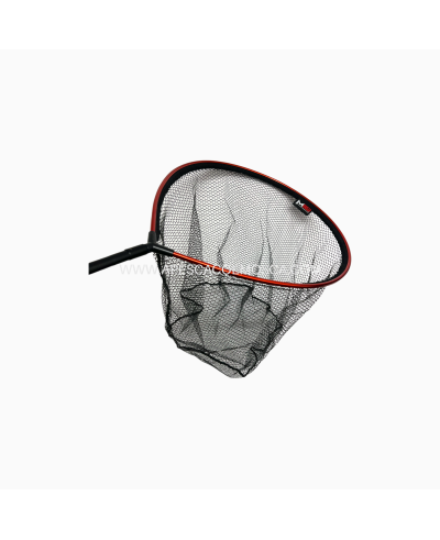 Testa guadino Milo Ovale