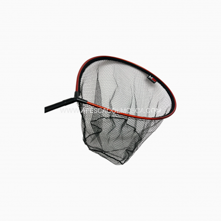 Testa guadino Milo Ovale