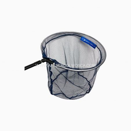 Testa guadino Garbolino Tondo