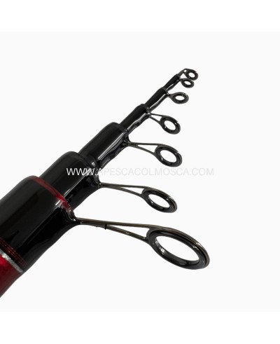 Canna Daiwa Ninja Bolo