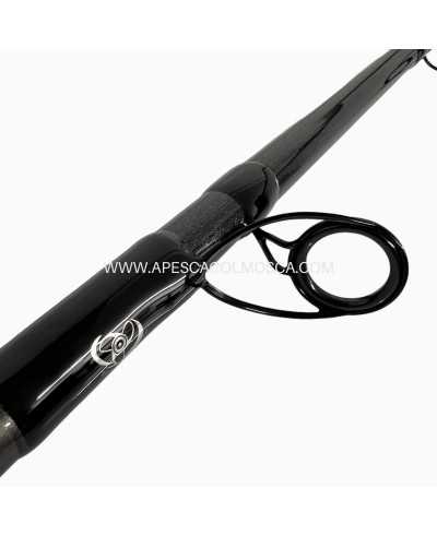 Canna Tubertini Meloria