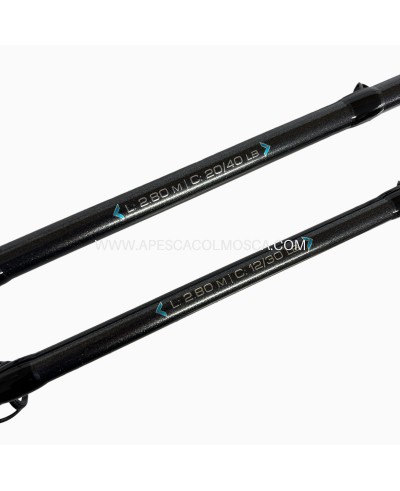 Canna Tubertini Meloria