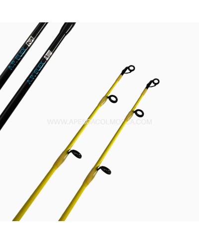 Canna Tubertini Meloria