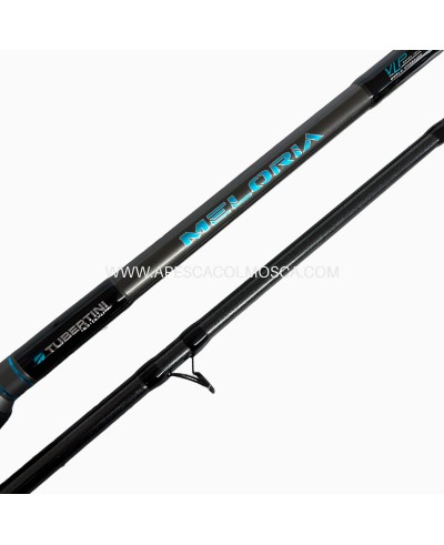 Canna Tubertini Meloria