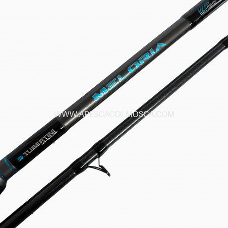 Canna Tubertini Meloria