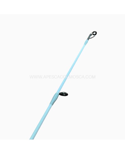 Canna Tubertini Araki Egi