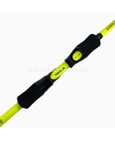 Canna Tubertini Araki Egi