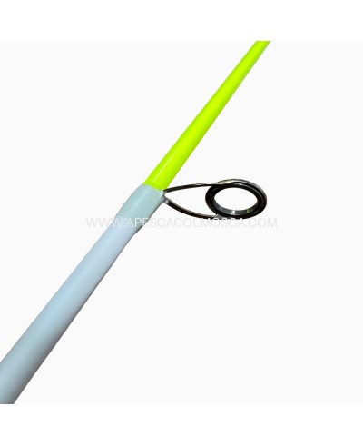 Canna Tubertini Araki Egi