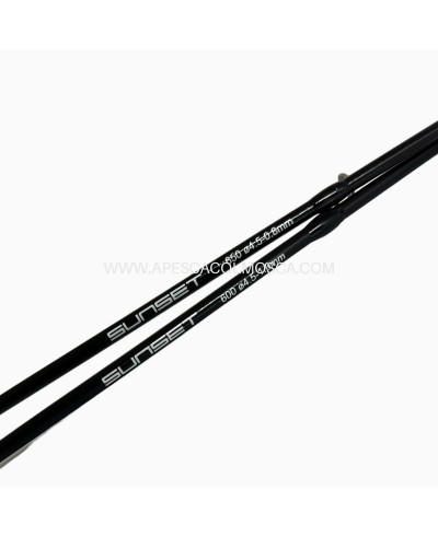 Canna Sunset Dorada SW20