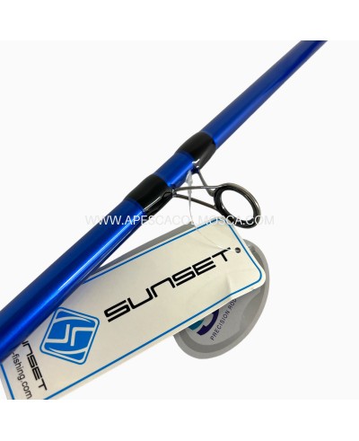 Canna Sunset Dorada SW20