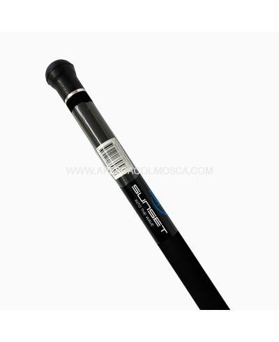 Canna Sunset Dorada SW20