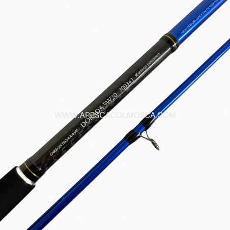 Canna Sunset Dorada SW20