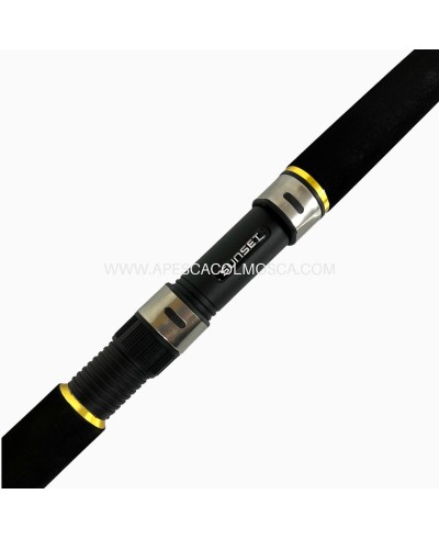 Canna Sunset Dorada SW20