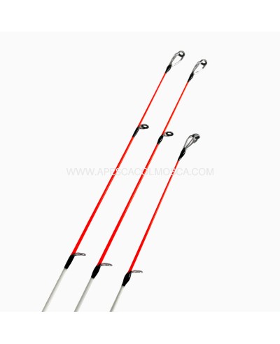 Canna Sunset Paloma Beach SW20