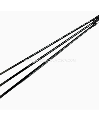 Canna Sunset Paloma Beach SW20