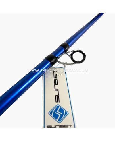 Canna Sunset Paloma Beach SW20