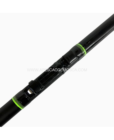 Canna Sunset Teaca Bolo Power