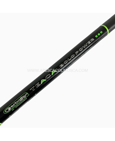 Canna Sunset Teaca Bolo Power