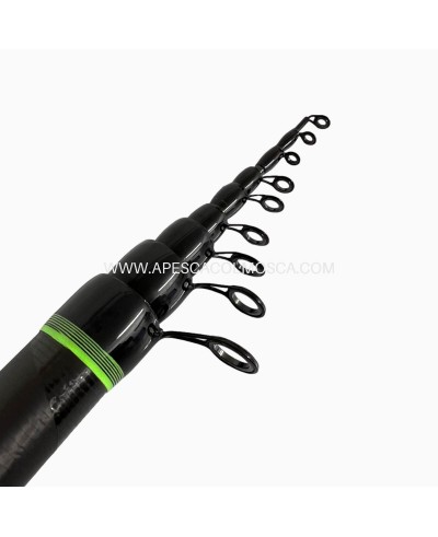 Canna Sunset Teaca Bolo Power