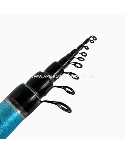 Canna Sunset Lexica Bolo