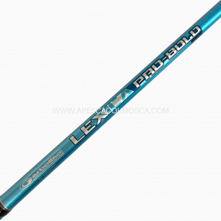 Canna Sunset Lexica Bolo