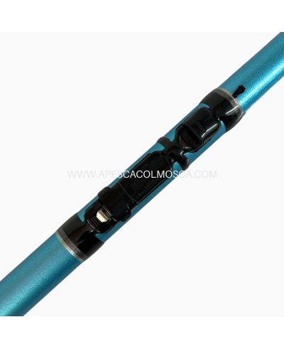 Canna Sunset Lexica Bolo