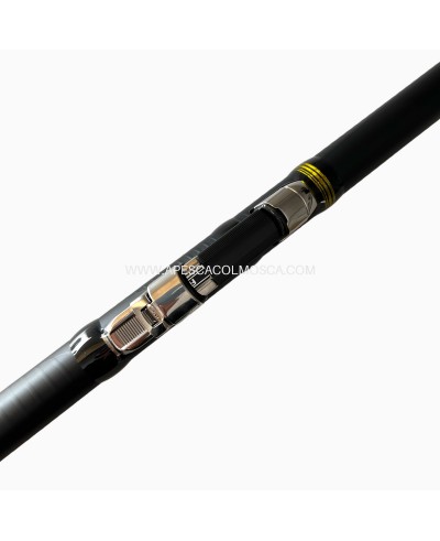 Canna Tubertini R18 Medium Bolognese 01