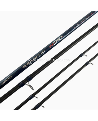 Canna Tubertini Genetic Hero