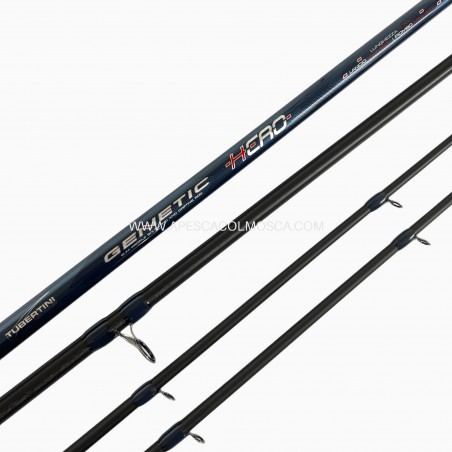 Canna Tubertini Genetic Hero