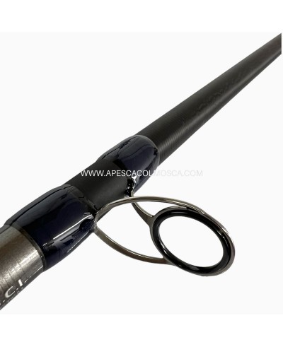 Canna Tubertini Genetic Hero