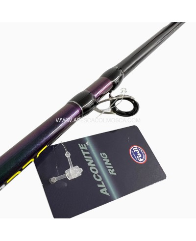 Canna JLC Zanzibar Slow B663