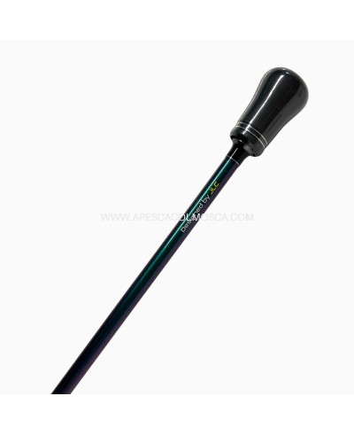 Canna JLC Zanzibar Slow B663