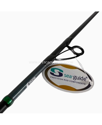 Canna Seika Ashent Light