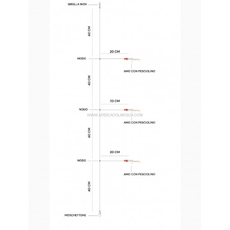 Filosa con Raglout - A pesca col Mosca